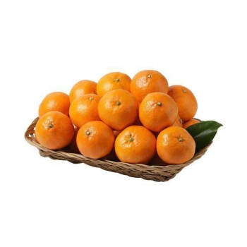 하우스 밀감 (1.5KG) 원산지:국내산