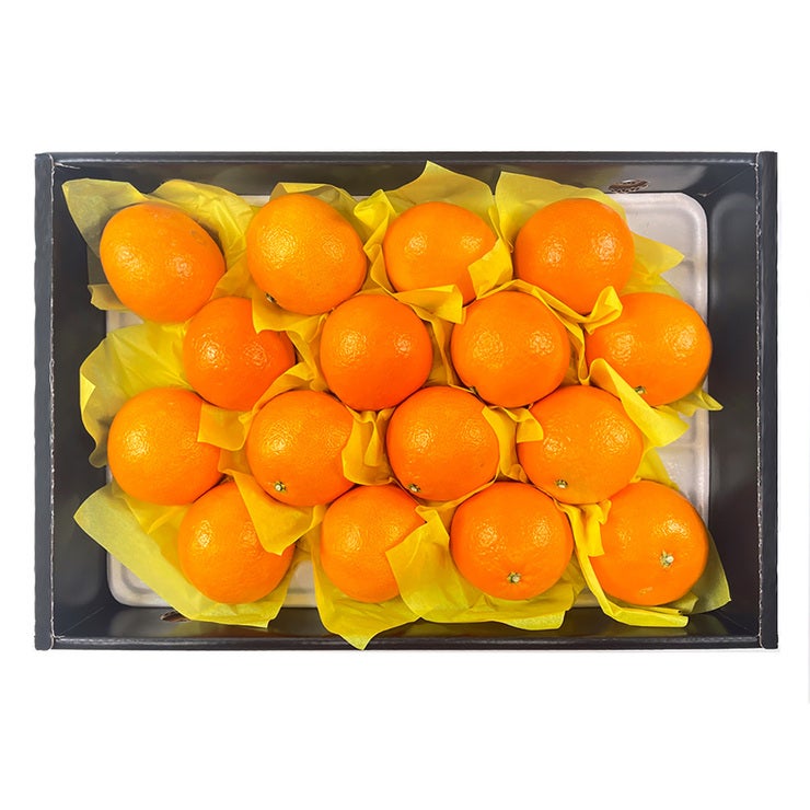 황금향 5kg (15-22입 이내）