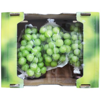 샤인머스켓 청포도 (2KG) 원산지 : 국내산