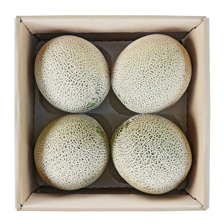 멜론 선물세트 8kg