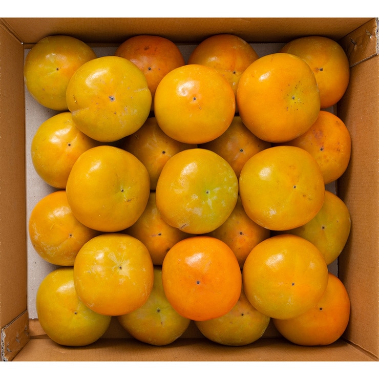 단감 5kg (27입내외)