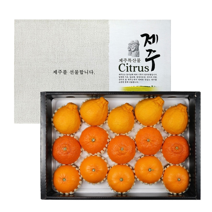 제주 명품 특선 세트5kg (15-18입)