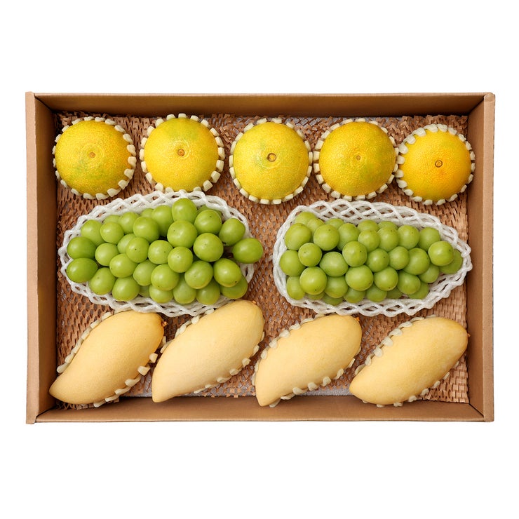 샤인머스캣&태국망고&황금향 선물세트4.2kg