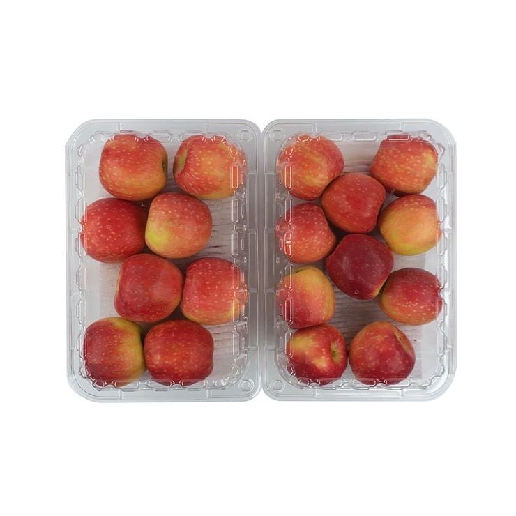 미니천홍사과1kg x 2팩