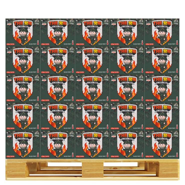 인라이프 대용량 포켓용 핫팩 170g x 30 x 100 개