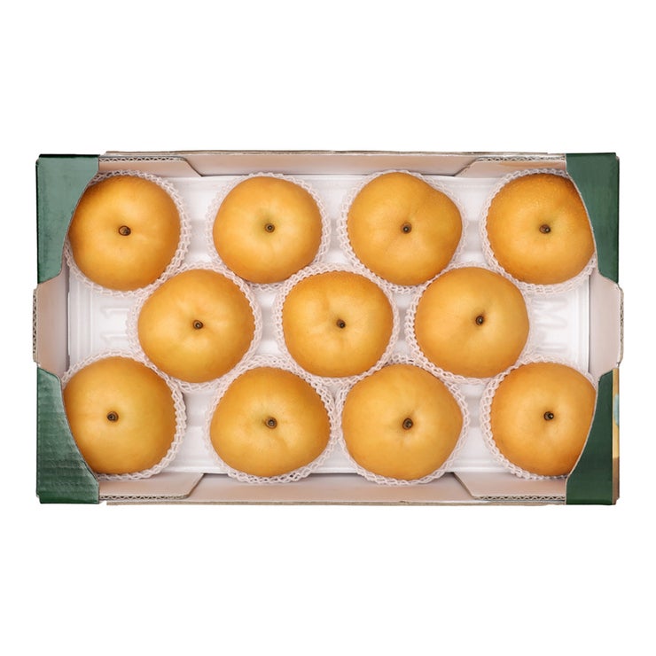 추황배 5kg