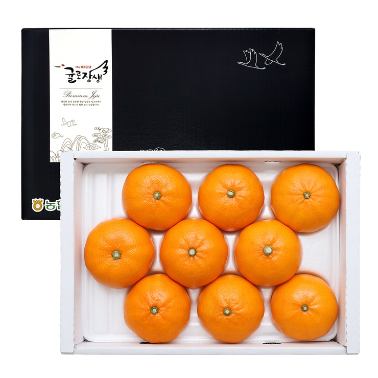 제주 천혜향 선물세트 3kg (9입)