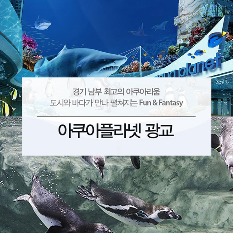 아쿠아플라넷 이용권 (광교점)