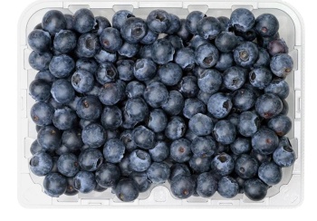 블루베리(400G)원산지:국내산