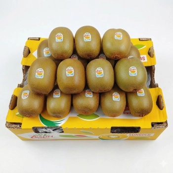 ZESPRI 골드키위 5.7KG 원산지:뉴질랜드