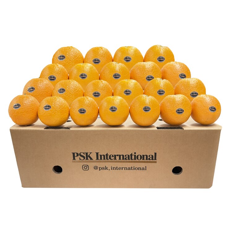 퓨어스펙 고당도 오렌지 10kg