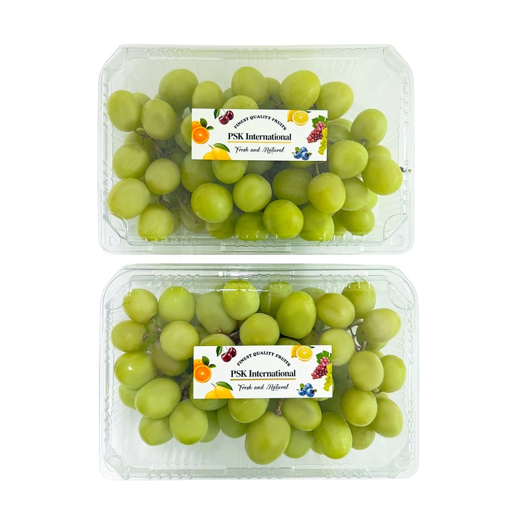 씨없는 청포도 2kg