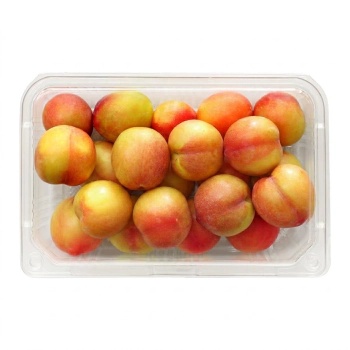 하우스자두(1KG)원산지:국내산