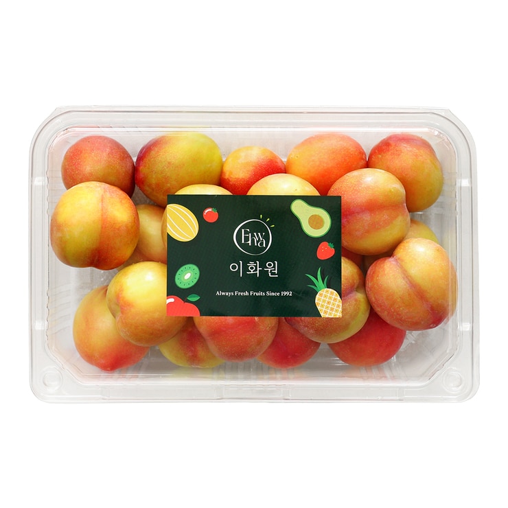 하우스자두 1KG/ 팩