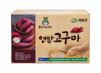 영암고구마 1박스(5KG) 원산지:국내산