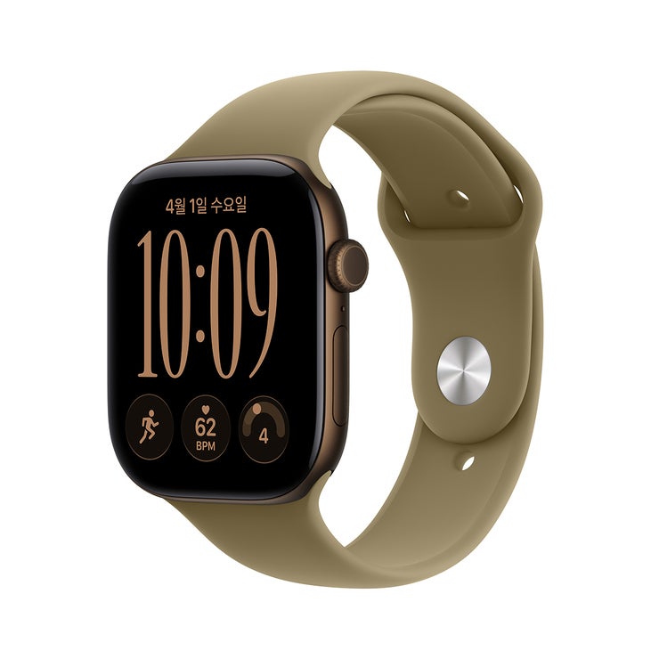 Apple 워치 시리즈 12 GPS 46mm 다크브론즈