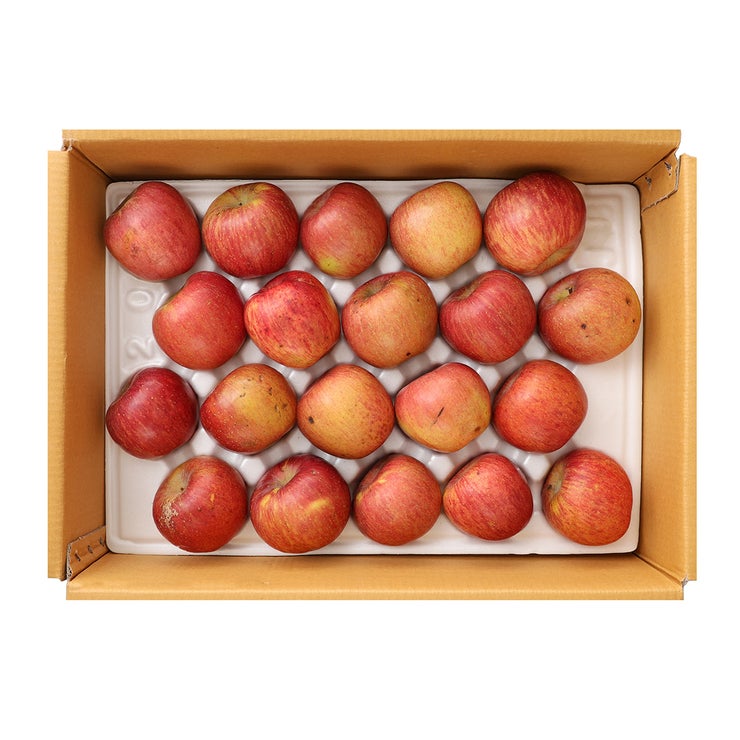 못난이 사과 5kg