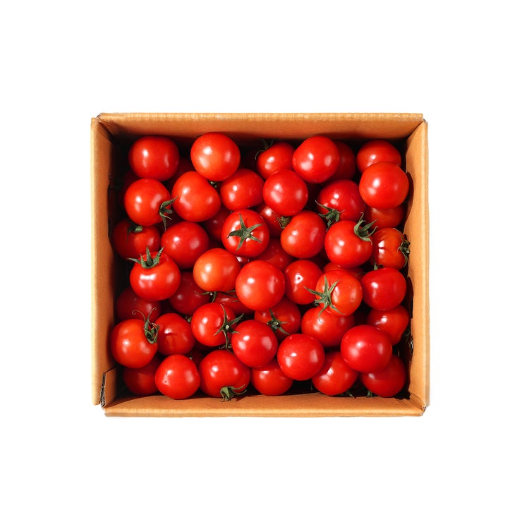 루비리코 토마토 4kg